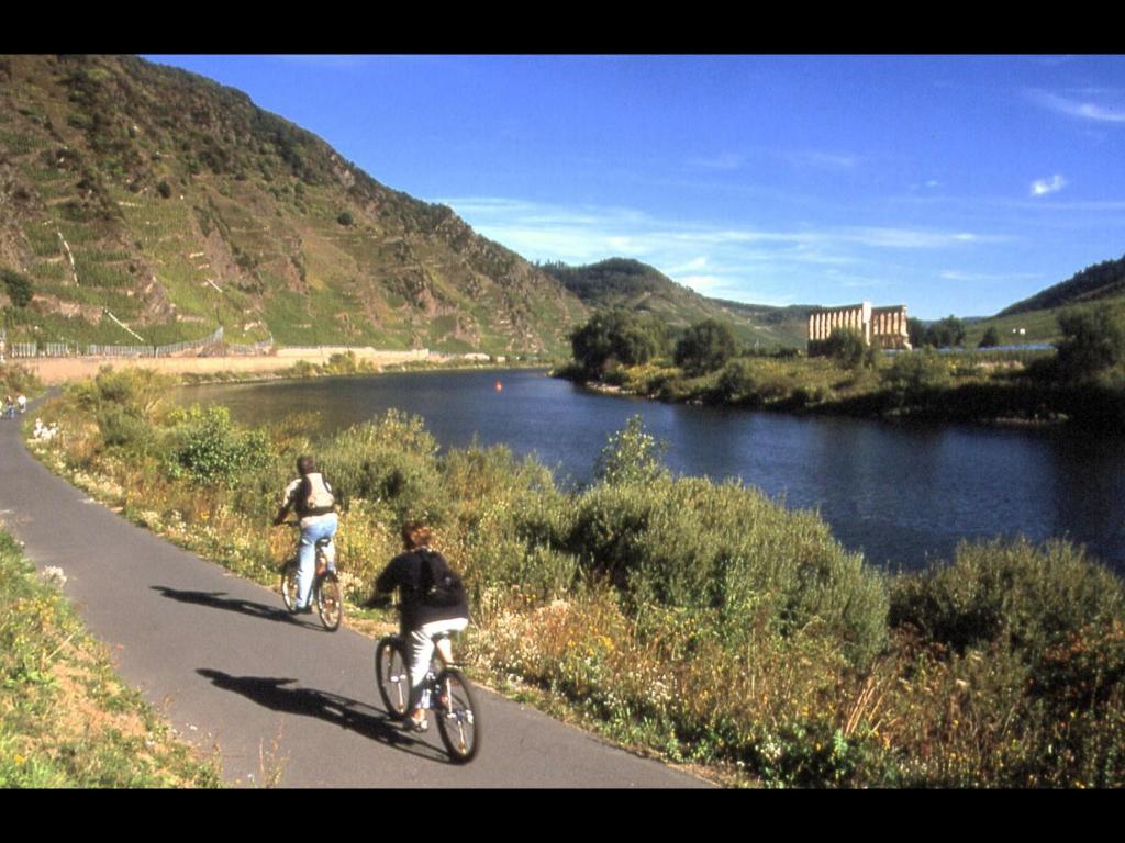 Appartement Moselblick - 11