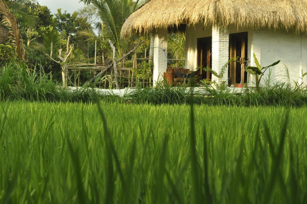 Mu Homestay - Bungalow Deluxe