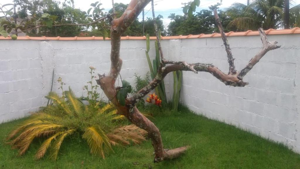  Casa do João