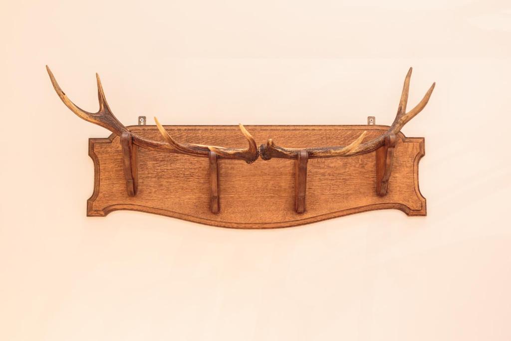 Hotel Dwars - Resim 23