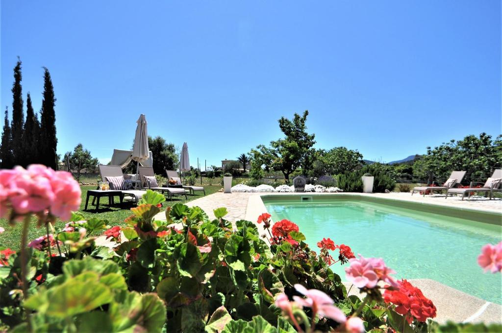 a swimming pool with flowers in front of it at Finca SON RUBI in El Port de la Selva