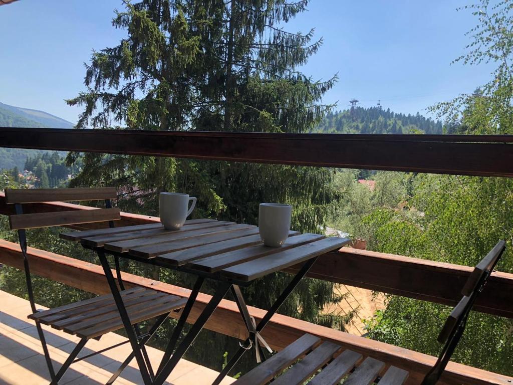 Naturlandskabet i nærheden af lejligheden