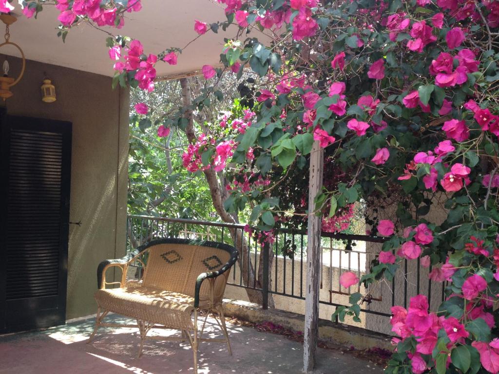 eine Bank neben einem Baum mit rosa Blumen in der Unterkunft Kokos Traditional Family House in Kap Sounion