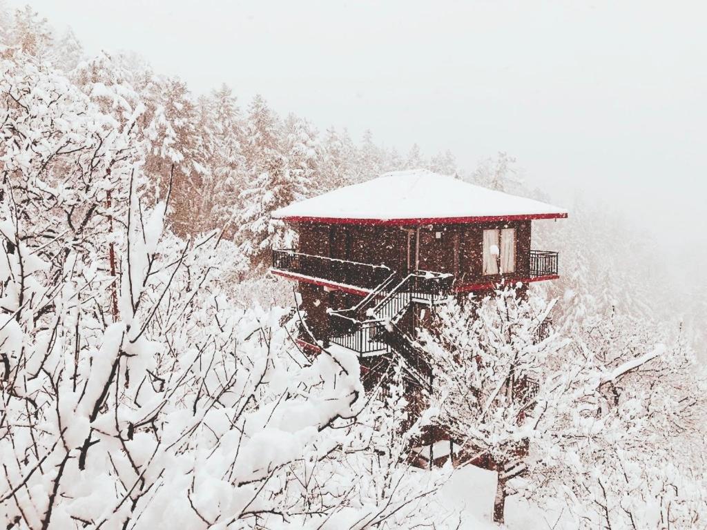 eine schneebedeckte Hütte mitten im Wald in der Unterkunft Aaramgah in Narkanda