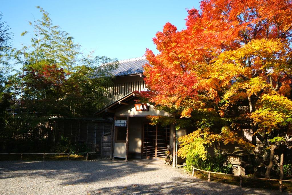 宮津市にある文珠荘 松露亭の目の前に色とりどりの木々が生い茂る家