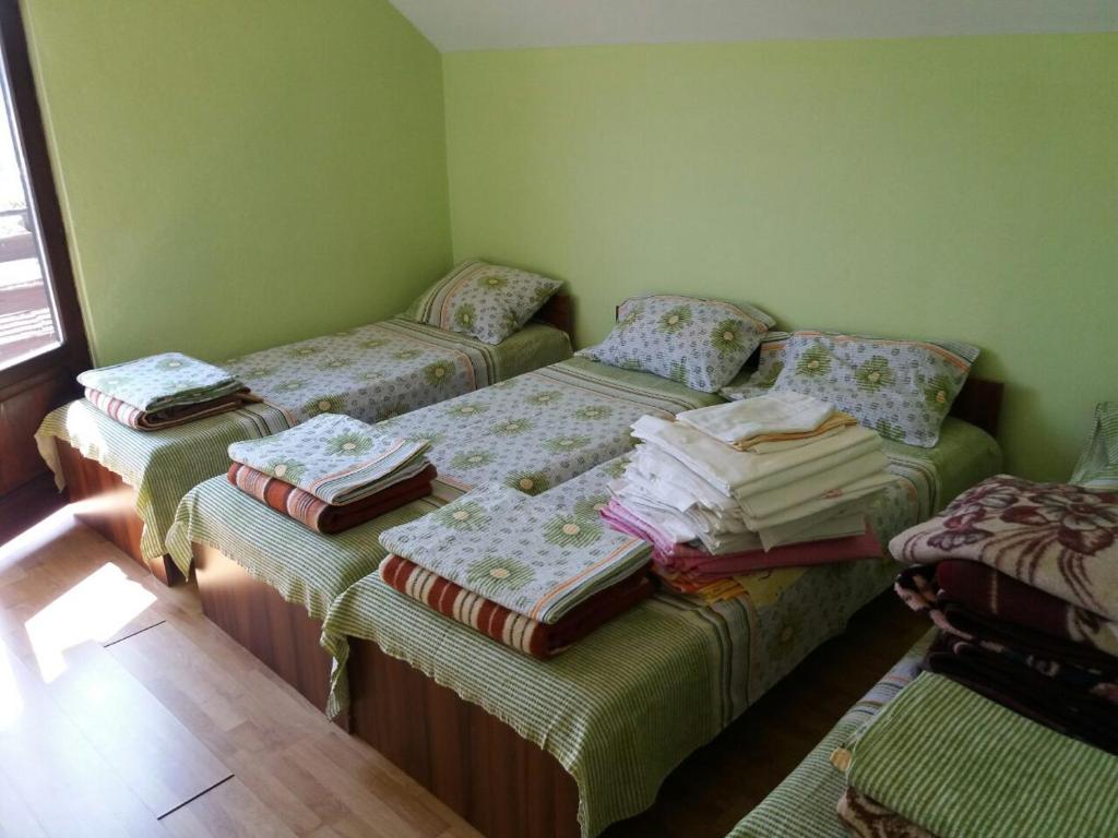 Habitación con 2 camas individuales y mantas. en Guesthouse Tomasevic, en Guča