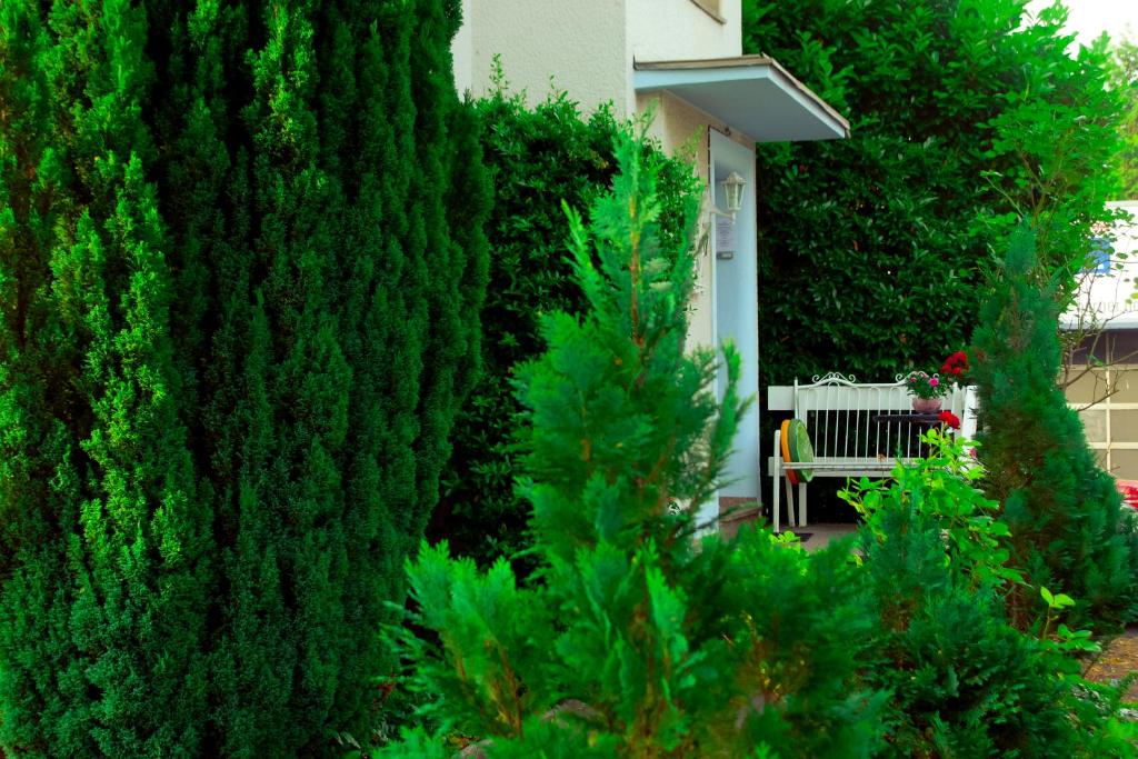 a park bench sitting in front of a tree at A&S Ferienwohnungen Roonstraße in Bonn