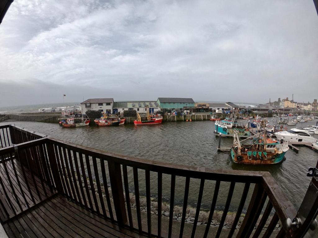 46 Y Lanfa in Aberystwyth