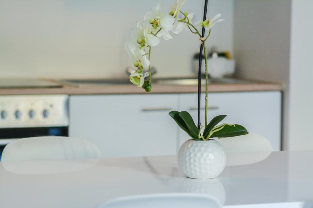 Il Mare appart hotel 8 - Resim 21