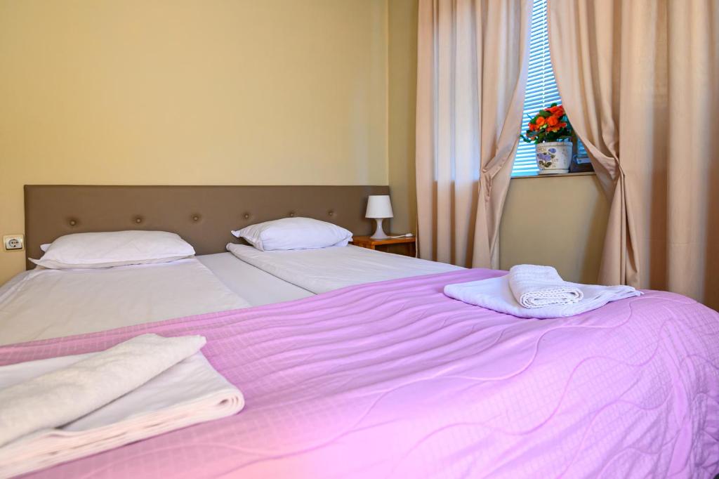 Postel nebo postele na pokoji v ubytování Family Hotel Chichin
