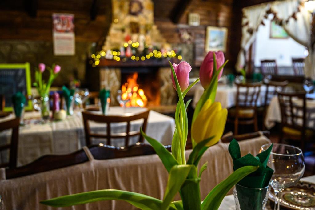 Restaurace v ubytování Family Hotel Chichin