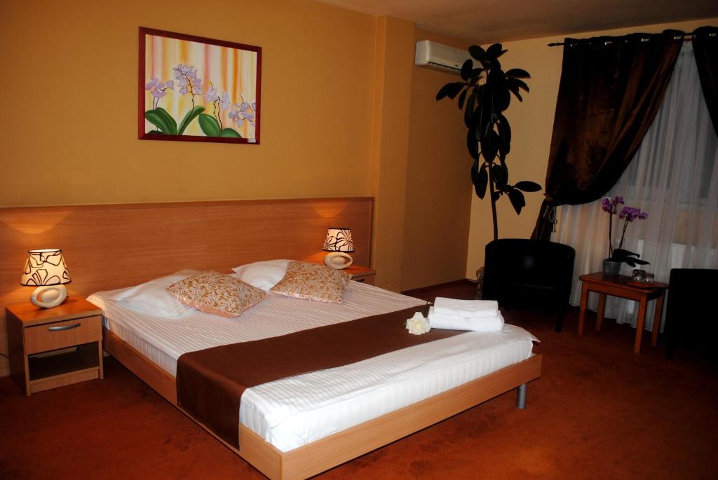 Hotel Vandia في تيميشوارا: غرفة نوم بسرير كبير في غرفة