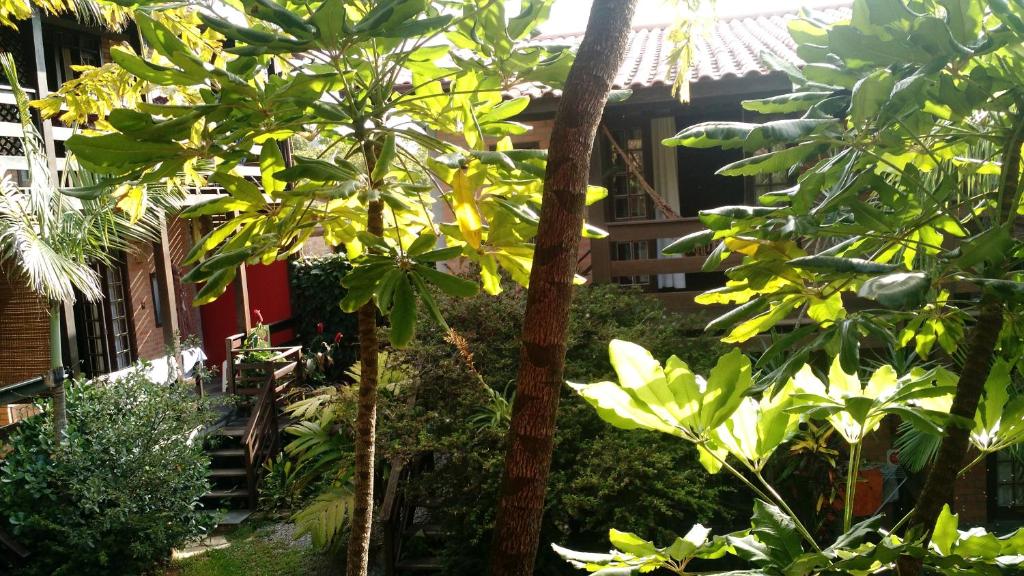  Além do Jardim