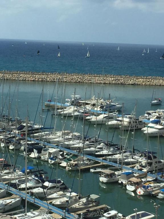 a bunch of boats docked in a harbor at Premium Class Marina Herzeliya in Herzliya B
