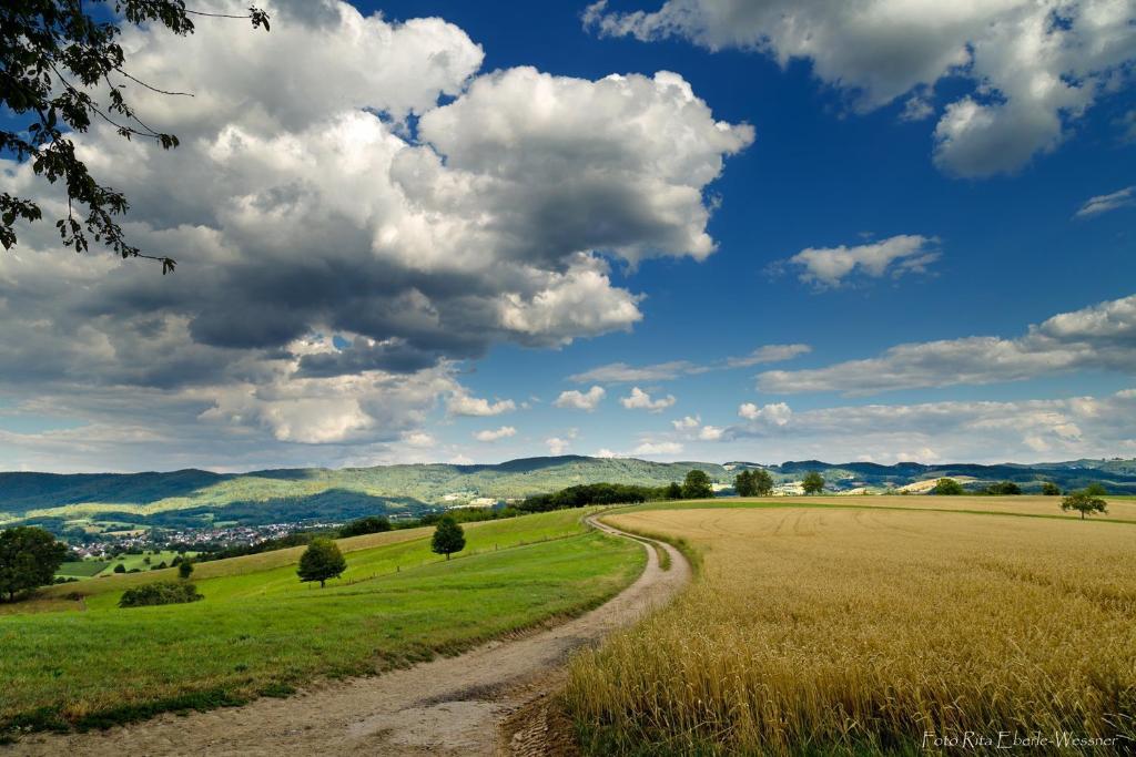 Příroda nedaleko apartmánu