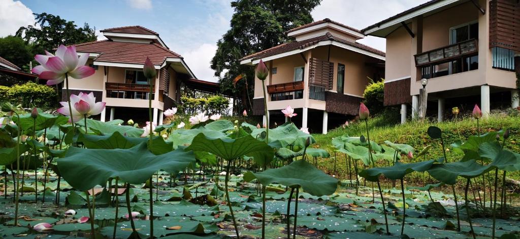 Zahrada ubytování บ้านสวนกรีนวิว รีสอร์ท
