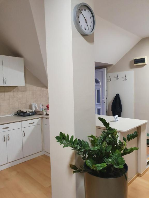 una cocina con un reloj en la pared y una planta en Bella Apartman, en Szeged