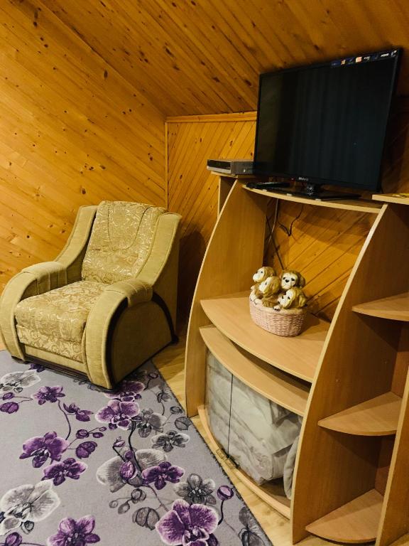 TV a/nebo společenská místnost v ubytování Pid Yavorom