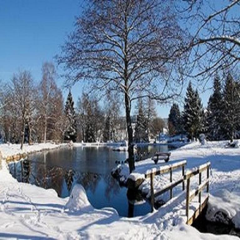 Hotel an der Sonne & Restaurant Zum Schneiger v zimě