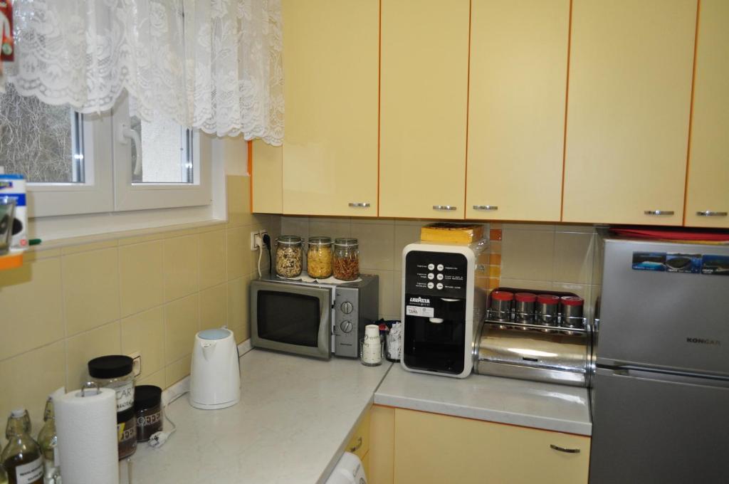Kuchyňa alebo kuchynka v ubytovaní MZ Apartment