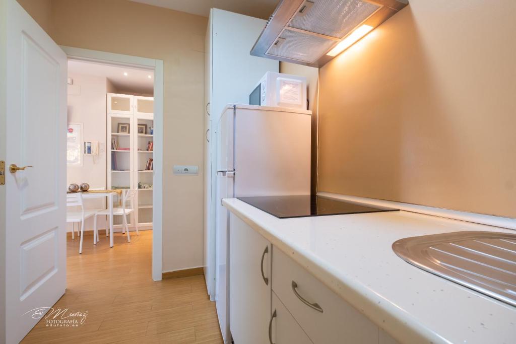A kitchen or kitchenette at Apartamentos Mérida Center