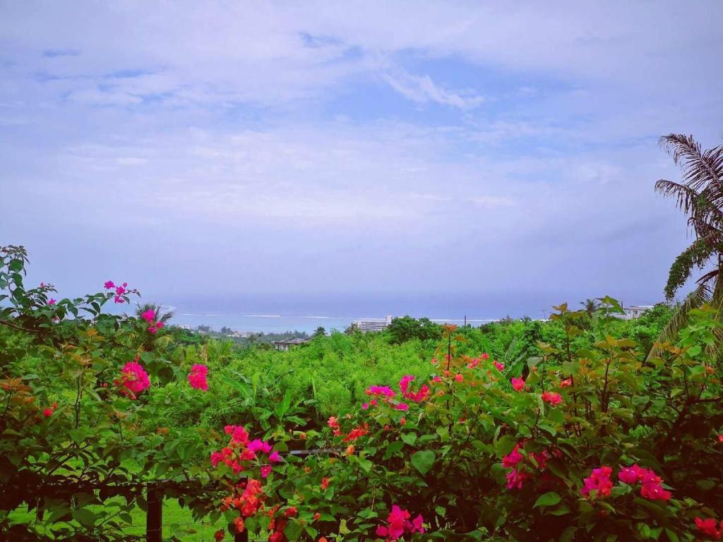 a field of pink flowers with a sky in the background at Saipan Skyline Designers Hotel in Saipan