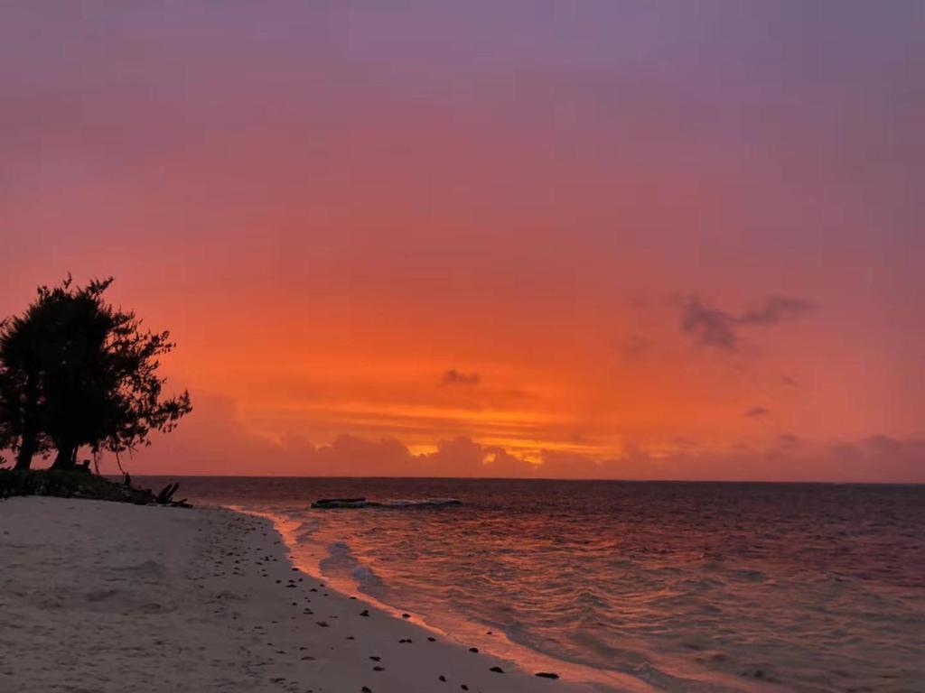 a sunset on the beach with a tree on the shore at Saipan Skyline Designers Hotel in Saipan