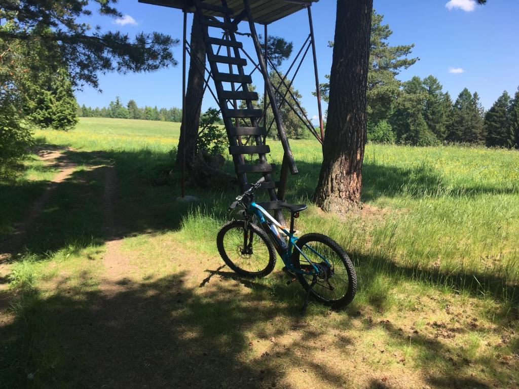 Jízda na kole v ubytování Chaty Lipa nebo okolí