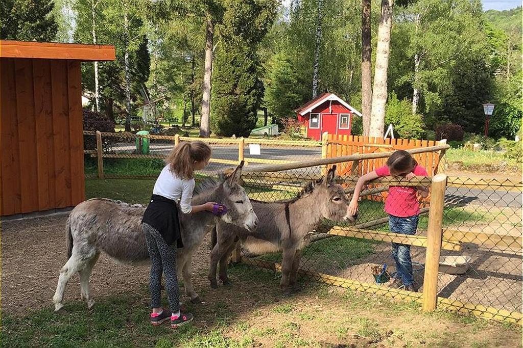 Zvířata v rezortu nebo okolí