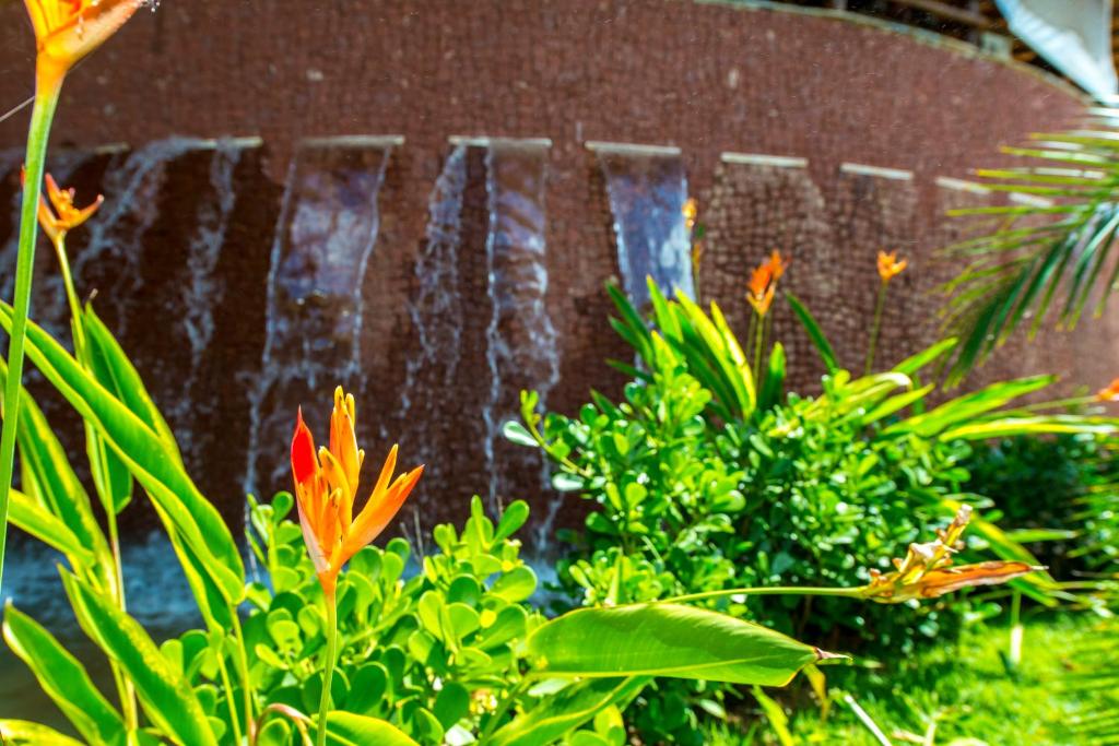  Praia Bonita Resort & Conventions