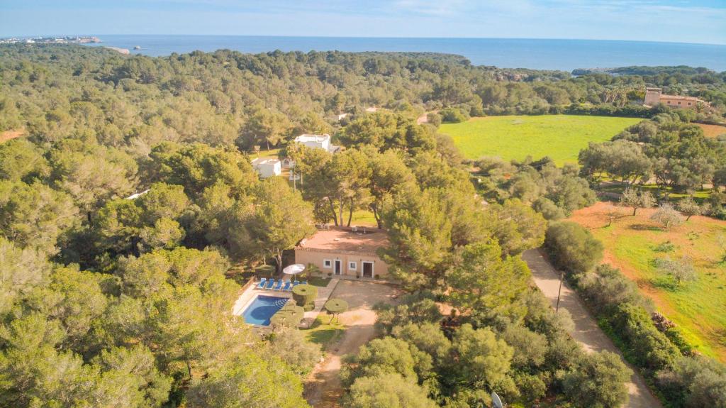 an aerial view of a house in the forest at Finca Naveta in Cala Ferrera
