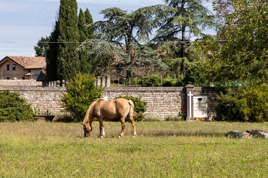 Zvieratá v ubytovaní bed & breakfast alebo blízkom okolí