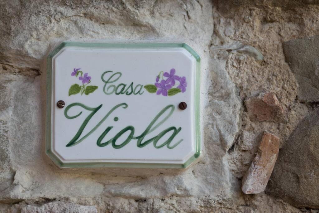 Fotografia z galérie ubytovania Agriturismo Casariccio - Casa Viola v destinácii Bucine