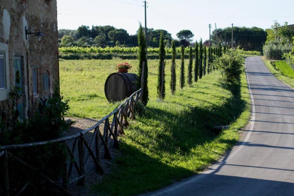 Fotografia z galérie ubytovania Agriturismo Casariccio - Casa Viola v destinácii Bucine