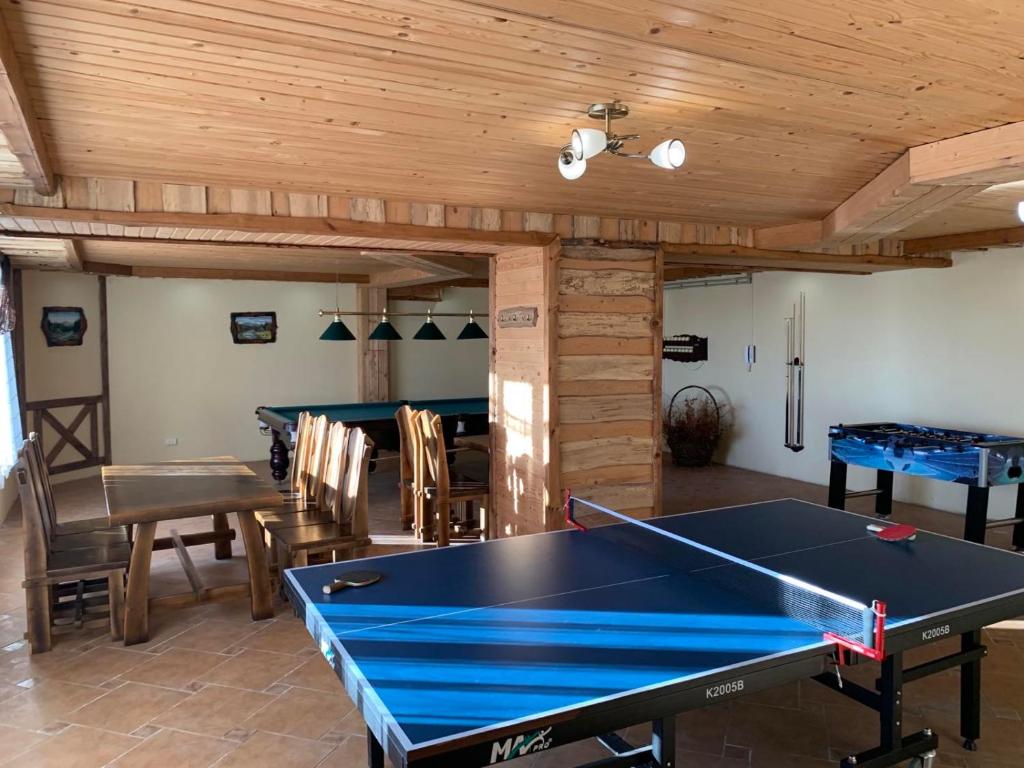 Stolní tenis v ubytování КРЕМІНЬ nebo okolí