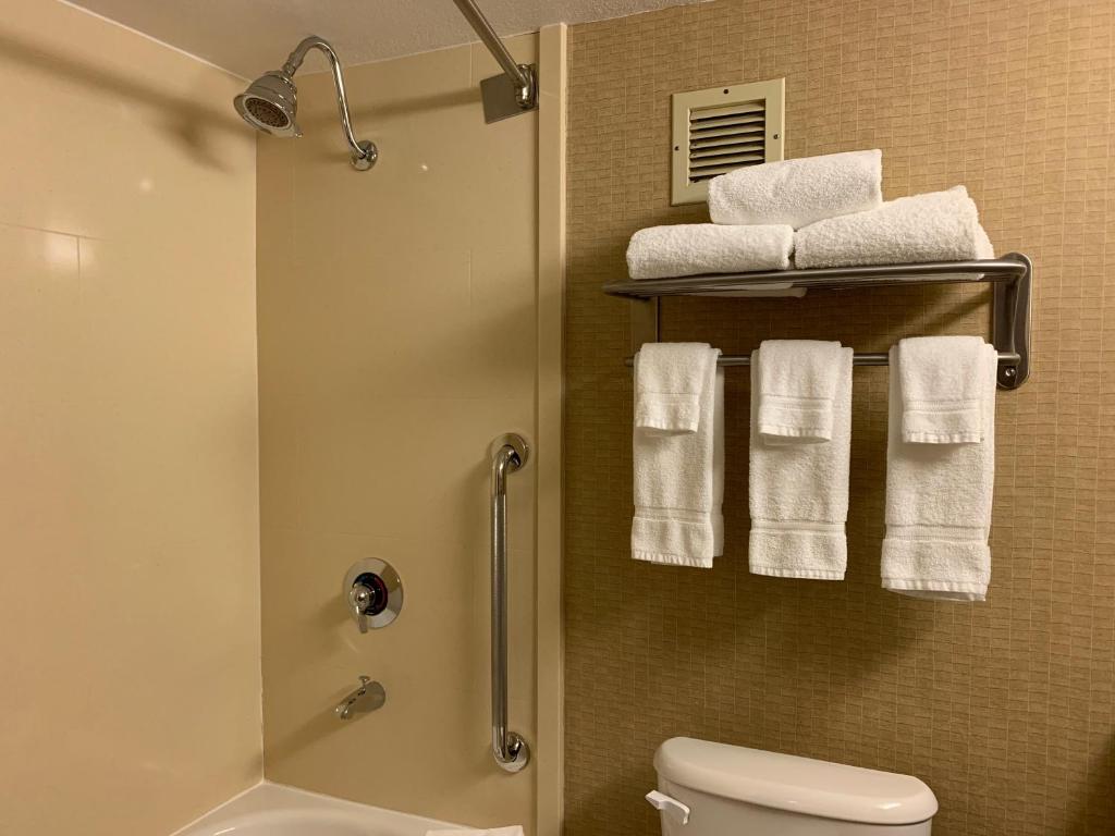 Holiday Inn Johnstown-Downtown, an IHG Hotel - Room King Estándar