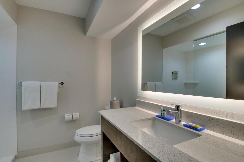 Holiday Inn Express Fishkill-Mid Hudson Valley by IHG - Habitación Estándar King