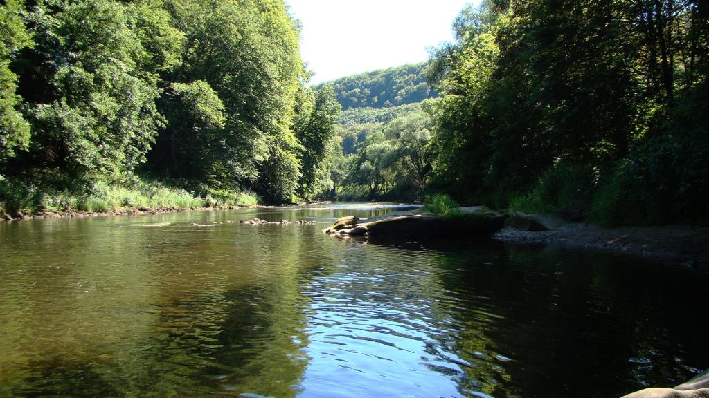 a river with trees on the side of it at Camping Wies-Neu in Dillingen