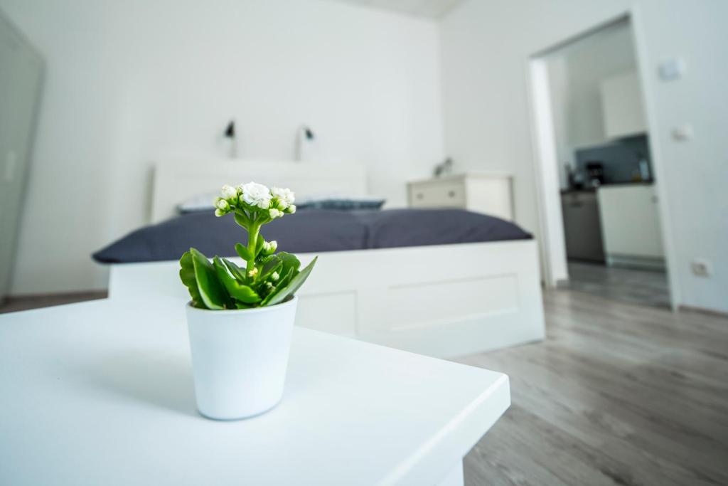 Gloriette Aparts - Wien Schönbrunn - 4