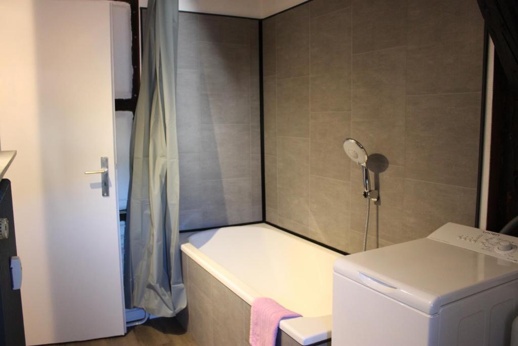 Appartement les Violettes – photo 8