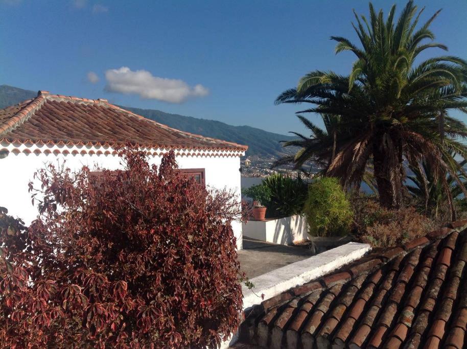 a house with a palm tree and a building at Under the Palm-trees in Breña Baja