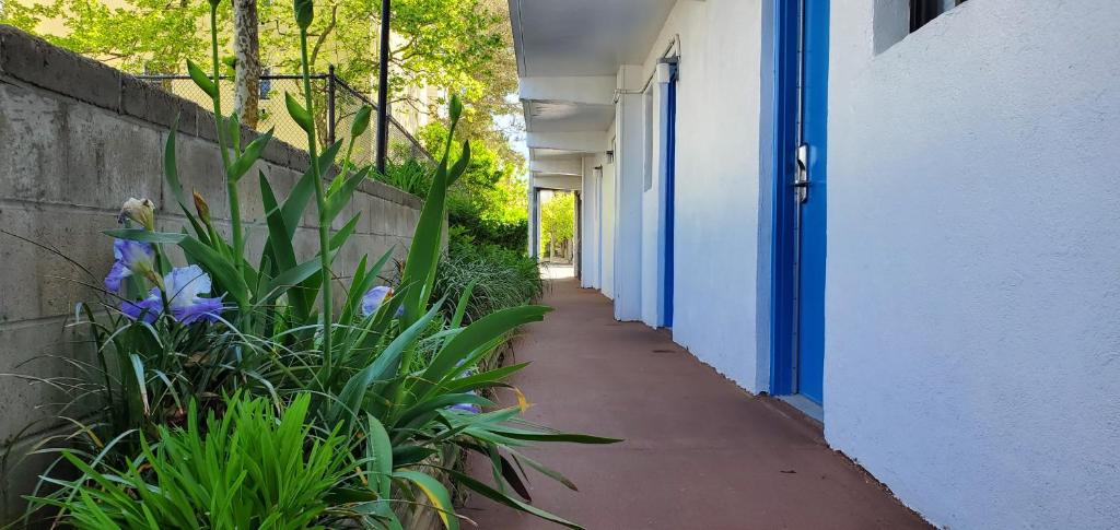 Sea Hawk Motel photo