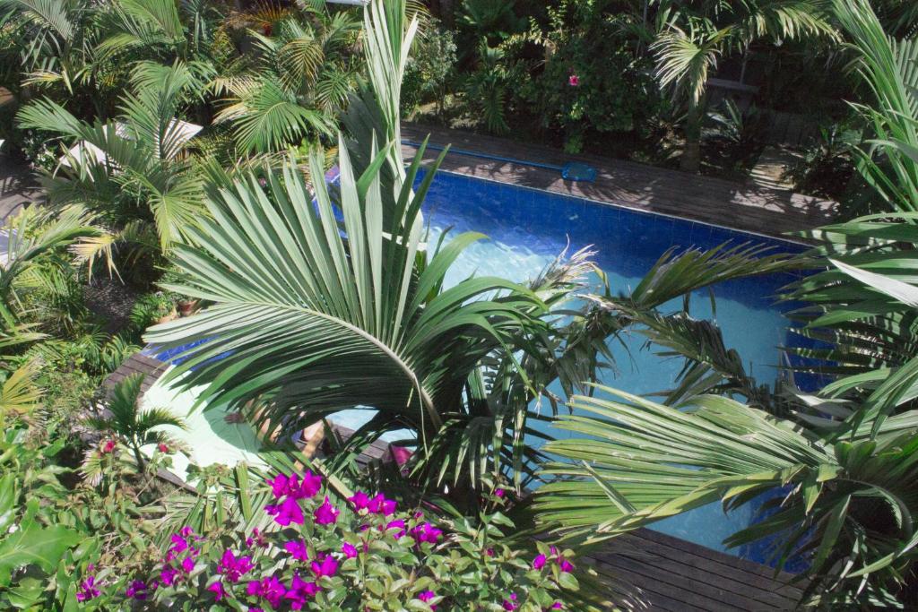 Bassein majutusasutuses Hostal Hilltop Salento või selle lähedal