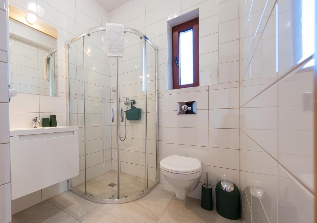 un bagno con wc e doccia in vetro di Cudne Manowce a Wisła
