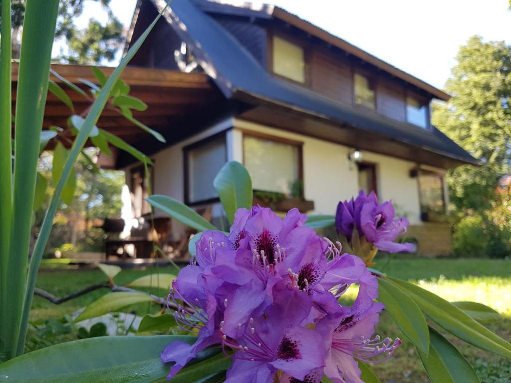 un montón de flores púrpuras delante de una casa en Cabaña Modern Family, en Villa La Angostura