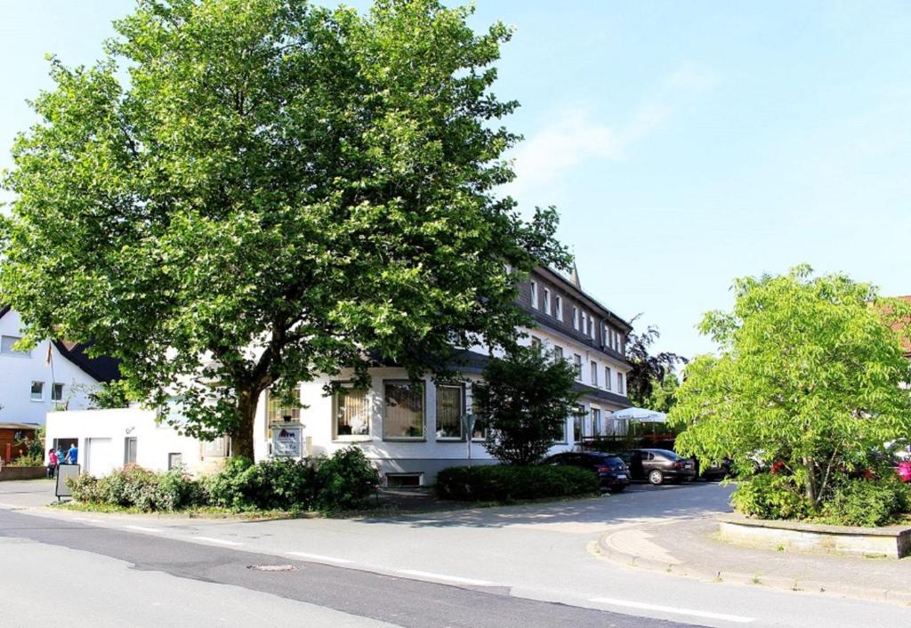 un árbol al lado de una calle al lado de un edificio en Hotel Haarener Hof en Bad Wünnenberg
