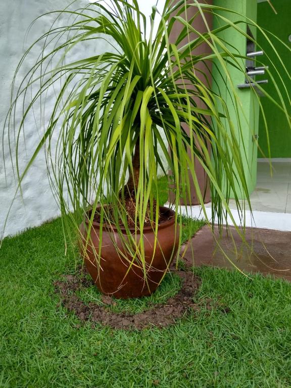  GREEN HOUSE