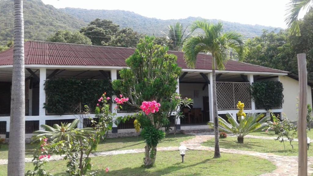 a house with a palm tree in front of it at CasaVelion in Karimunjawa