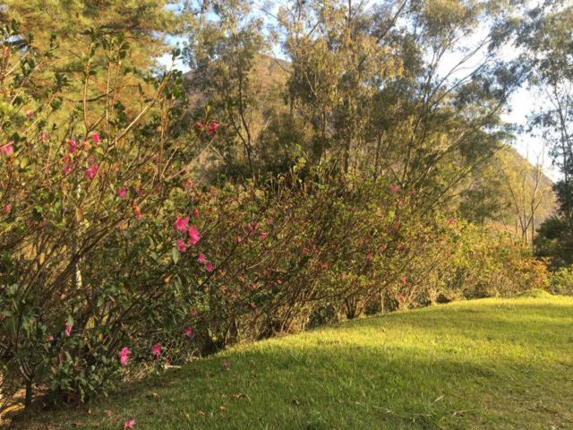  Nosso Sítio - Rancho Santa Clara Itaipava