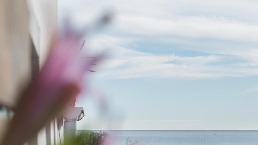 Banana Beach Patacona, Valence – Tarifs 2023